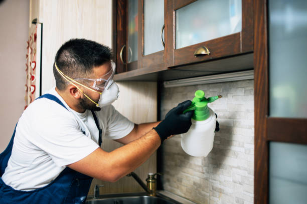 Best Pest Inspection Near Me  in Woodfield, SC