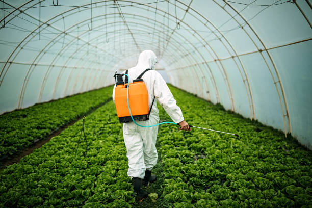 Best Best Pest Control Companies  in Woodfield, SC