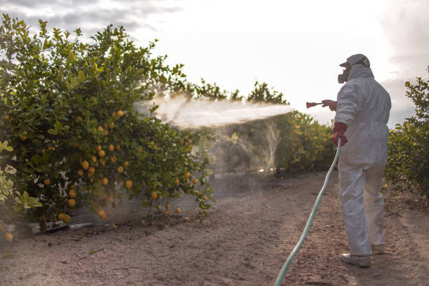 Best Residential Pest Control  in Woodfield, SC