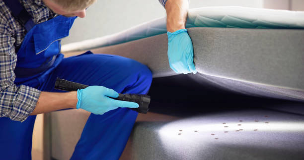Best Emergency Pest Control  in Woodfield, SC