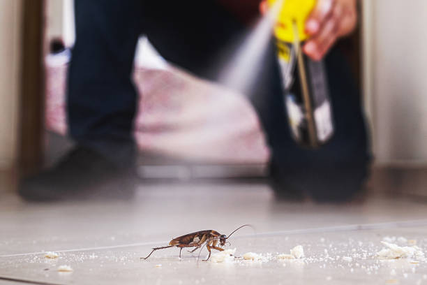 Best Local Pest Control Services  in Woodfield, SC