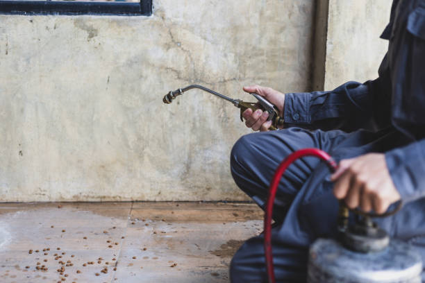 Best Wasp Removal Services  in Woodfield, SC