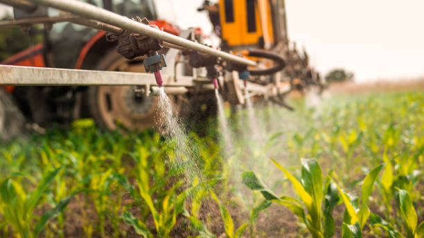 Pest Control Cost in Woodfield, SC